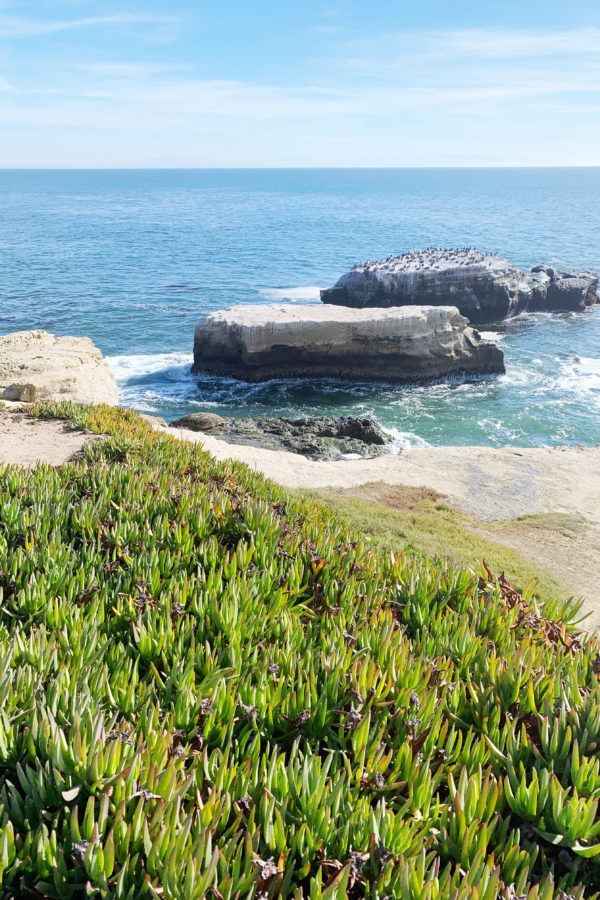 The BEST 75 Pacific Coast Highway Stops: All my Favorite Places on the PCH! FULL Pacific Coast Highway road trip itinerary guide!
