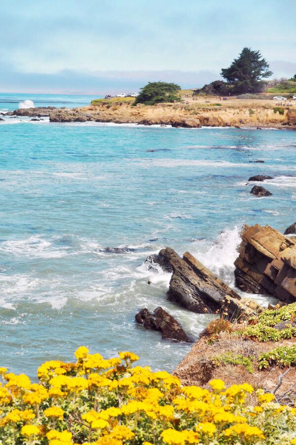 Best Things to do in Cambria, California (complete guide!)