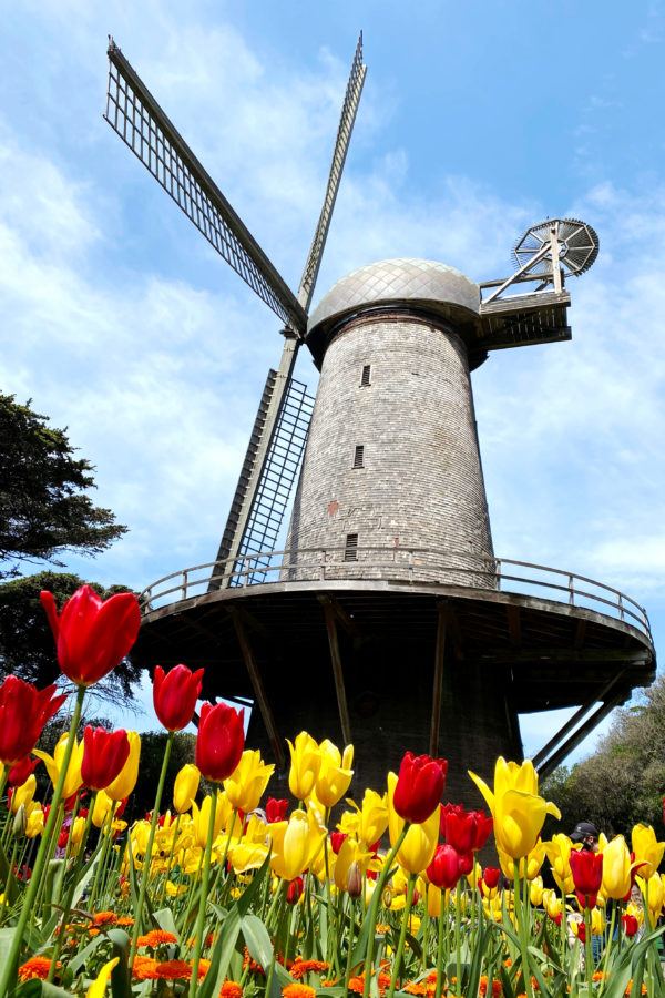 Best Gardens in San Francisco