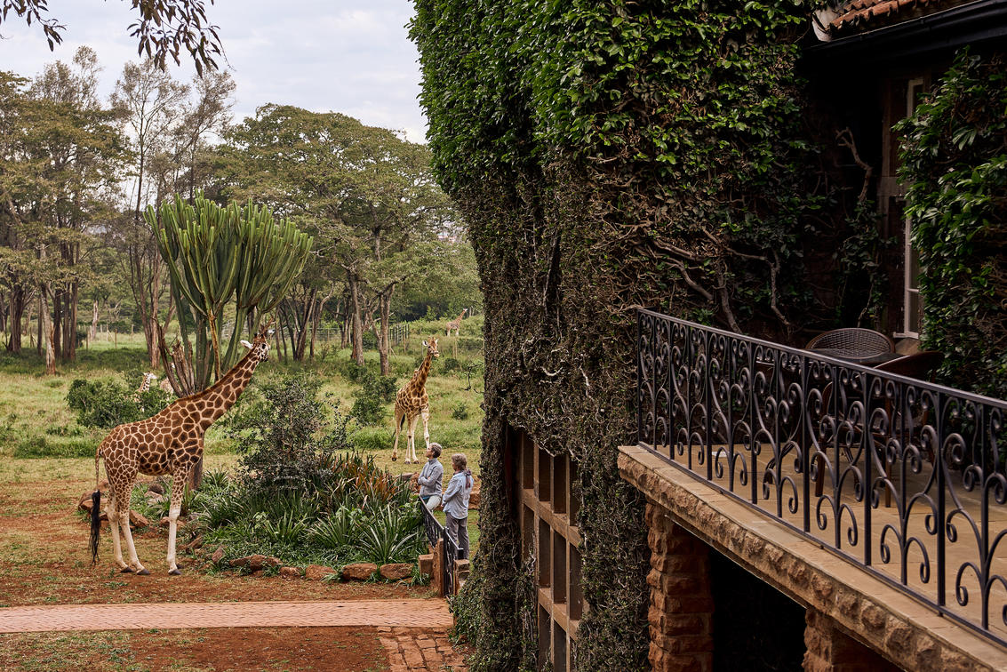 Giraffe Manor Kenya