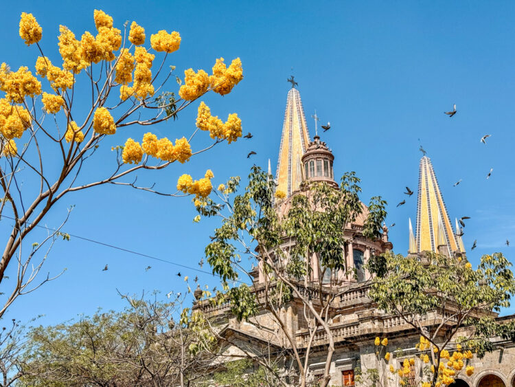 Guadalajara Itinerary: 4 Days in Guadalajara