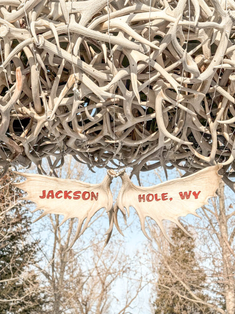 Jackson Hole in Winter Itinerary