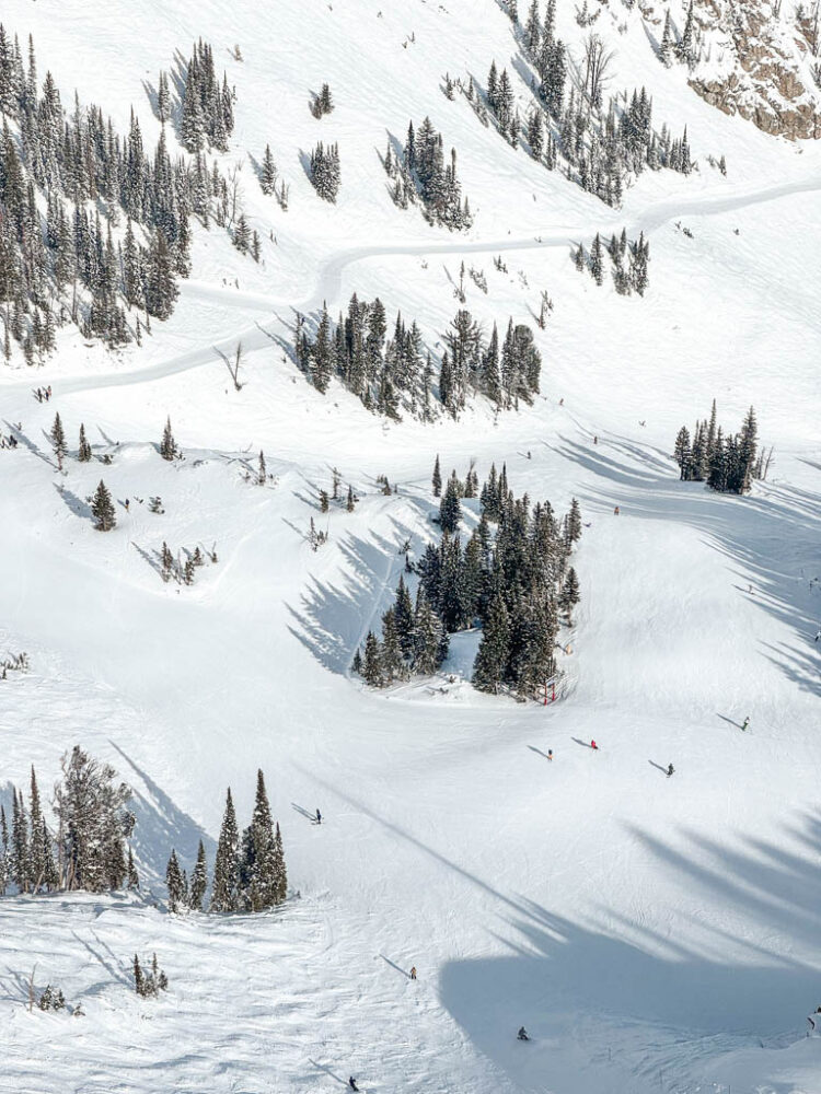 Jackson Hole in Winter Itinerary