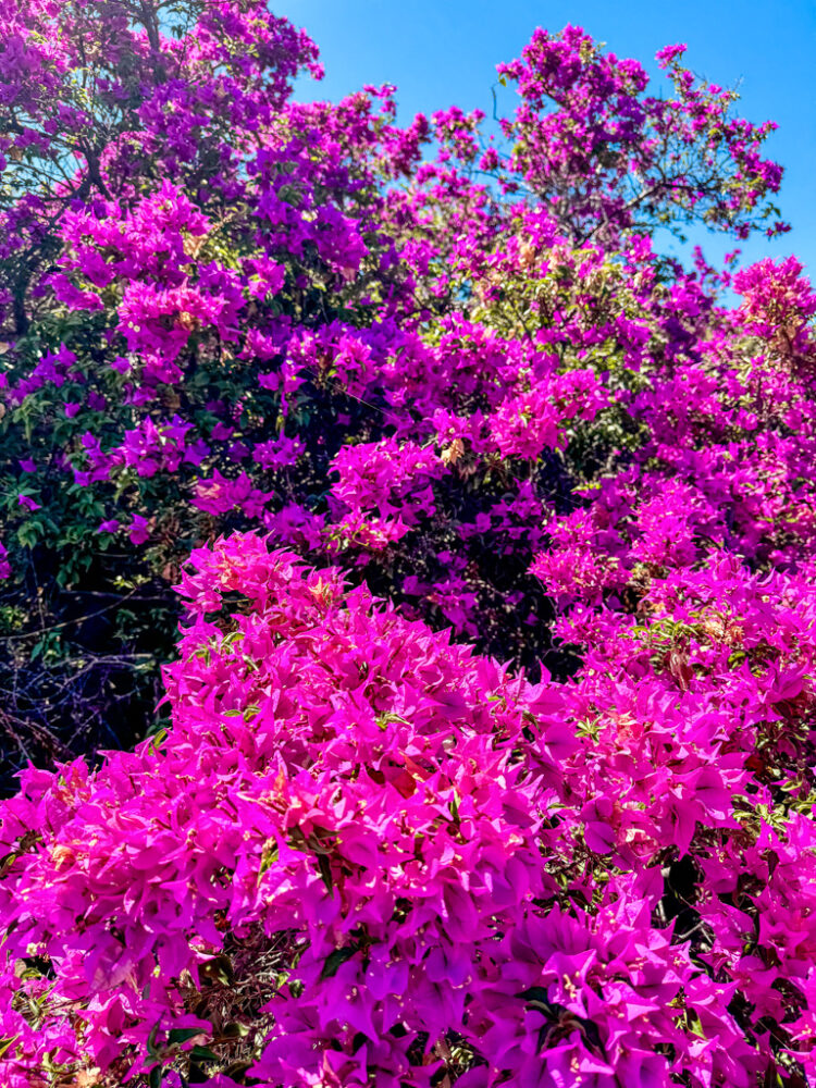 Kona itinerary 3 days