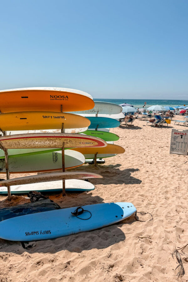 things to do in Manly