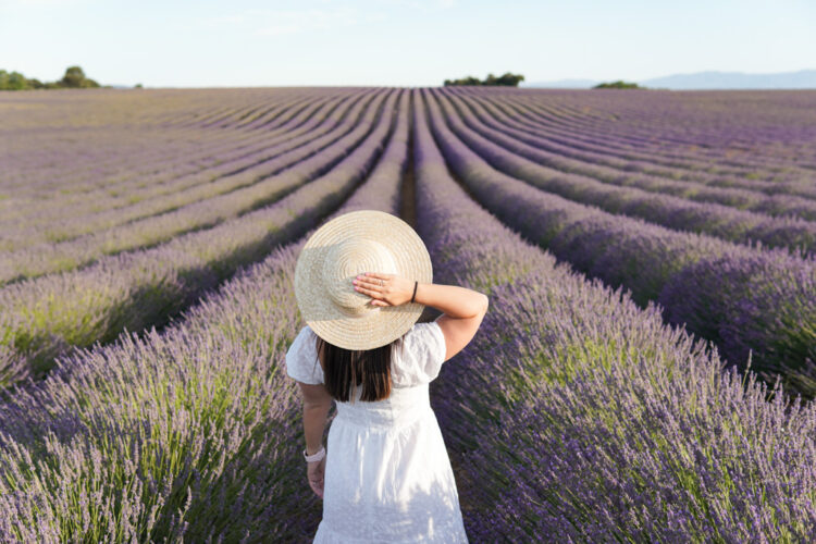 Provence itinerary