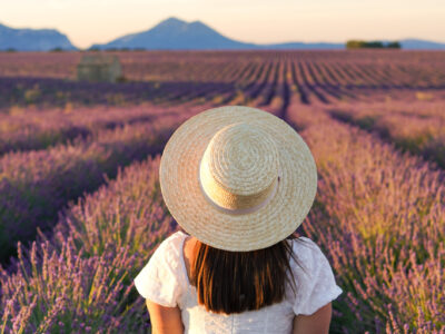 Provence itinerary