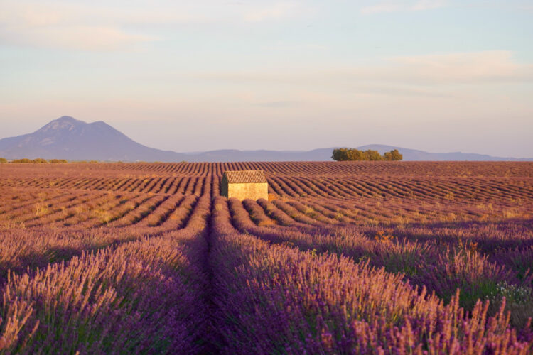 Provence itinerary