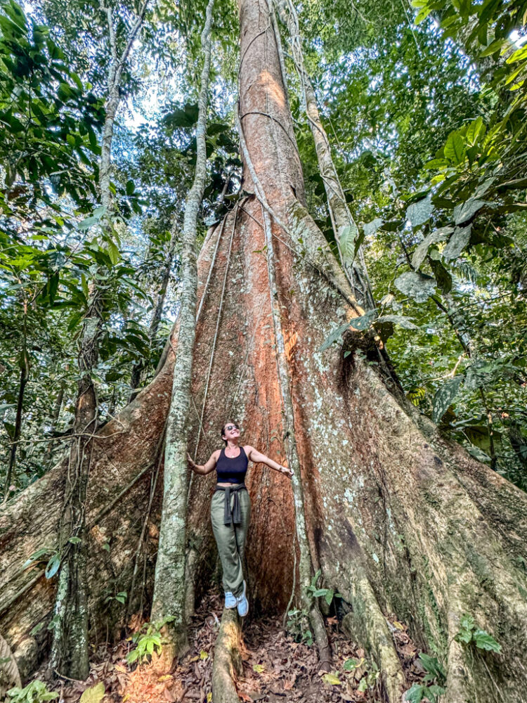 visiting Puerto Maldonado Peru Amazon Rainforest