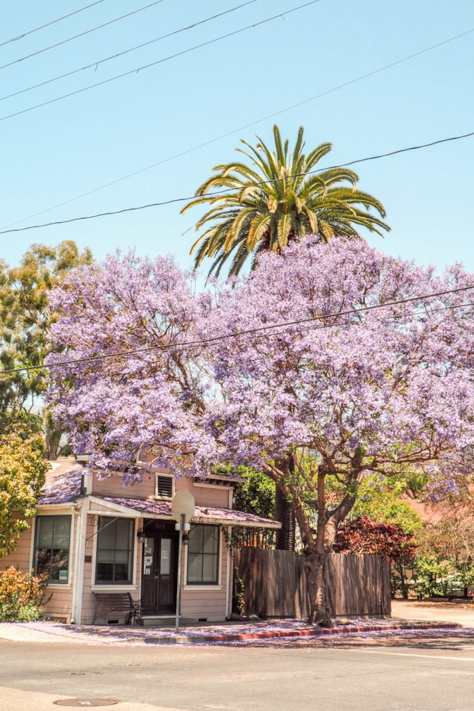 weekend in Santa Barbara itinerary