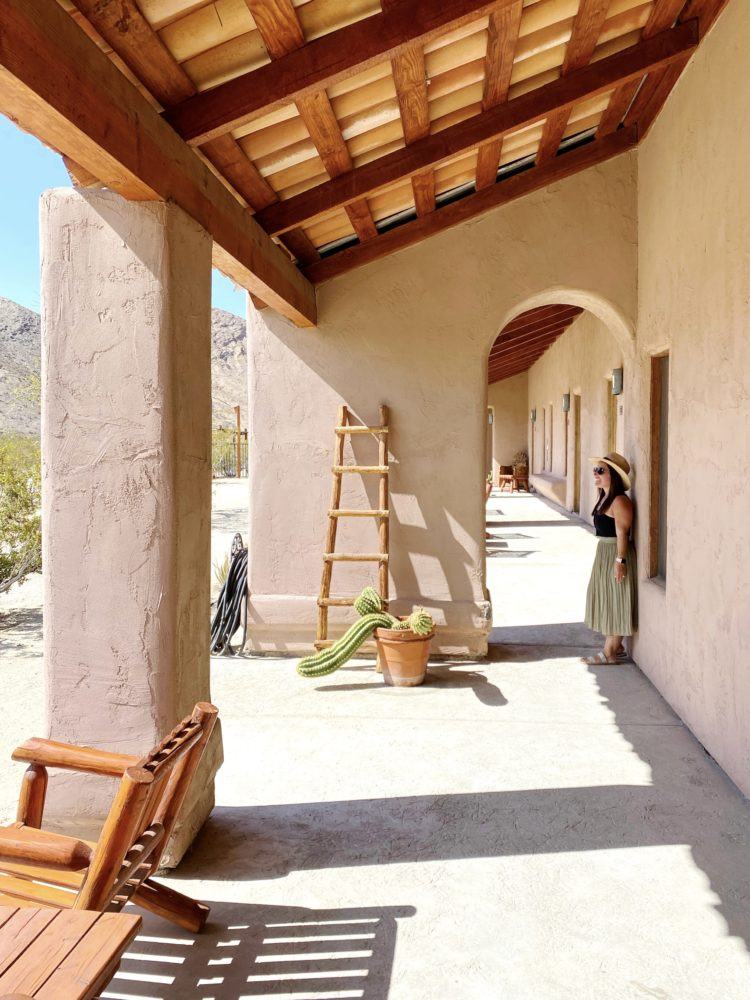 Things to do in Borrego Springs: Everything You Need to Know to Plan The Best Trip!